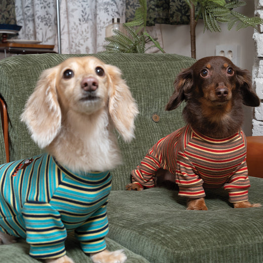 Homeground Stripe All-in-one - Dog Pajama