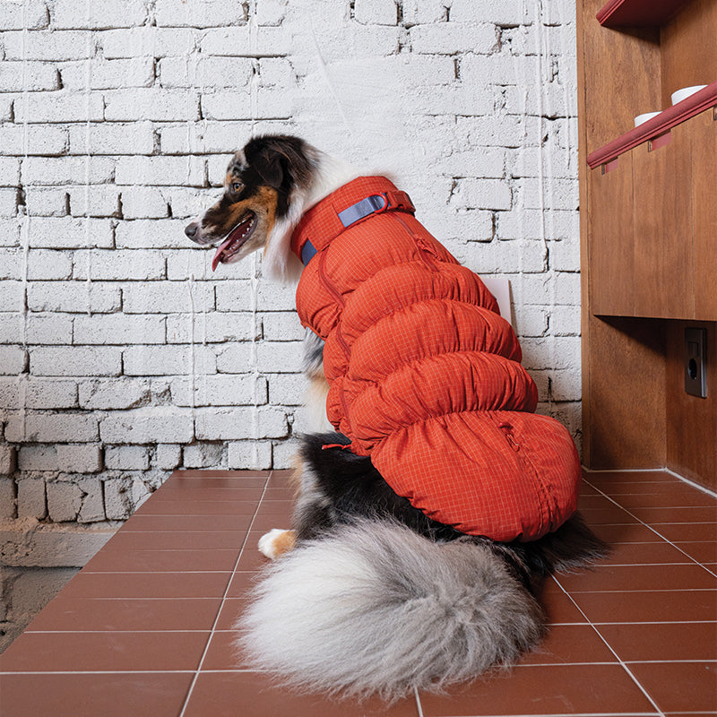 EasyWalk Cloud Padding - Pet Winter Vest with Harness