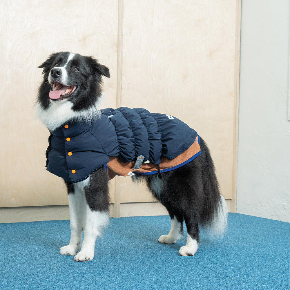 Heat Boost 2 in 1 padding - Pet Winter Jacket