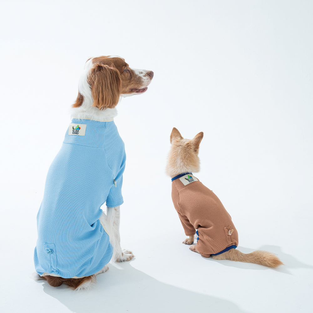ペットアポルテ　パピリーヒルズ　周年コラボ Fall & Winter Collection – Puppy Gallery CA & US