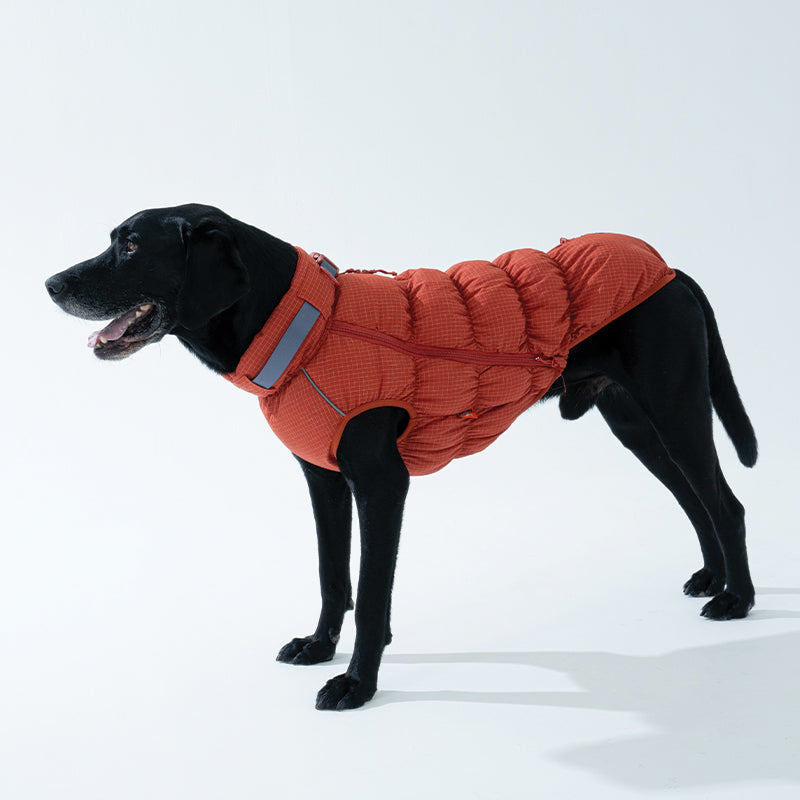 EasyWalk Cloud Padding - Pet Winter Vest with Harness