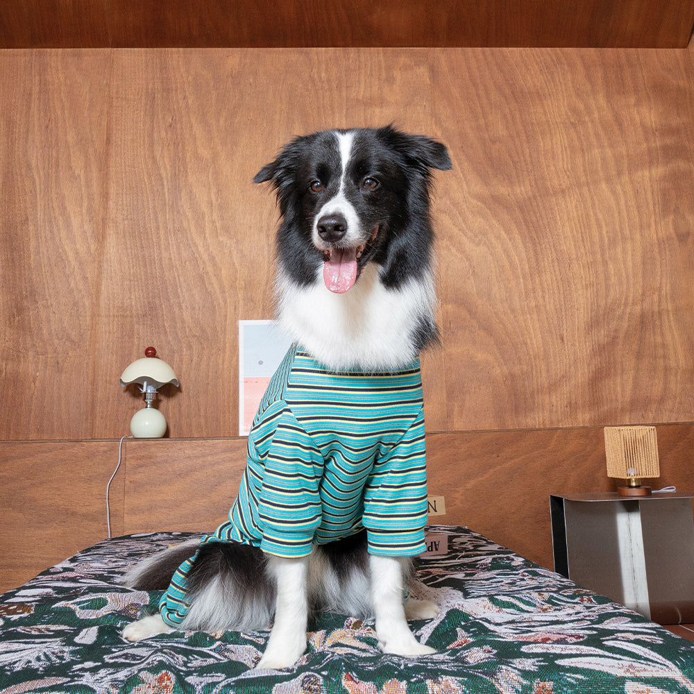 Homeground Stripe All-in-one - Dog Pajama