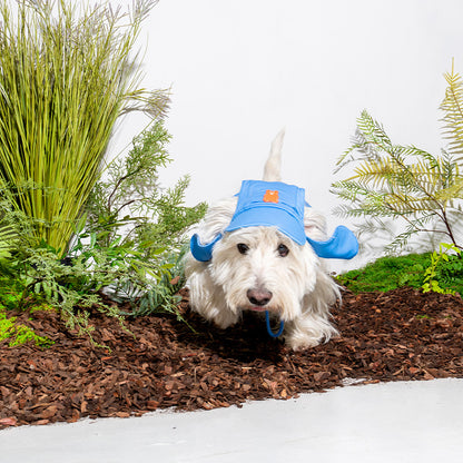 Jelly Bear Sun Hat (Blue)