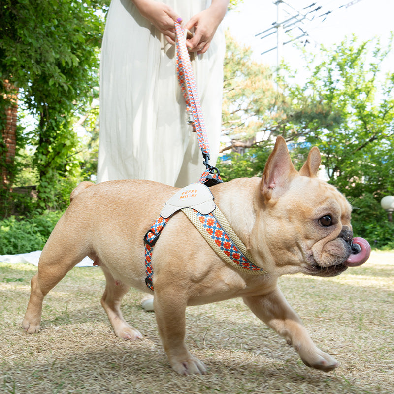 Retro flower V harness (Beige)