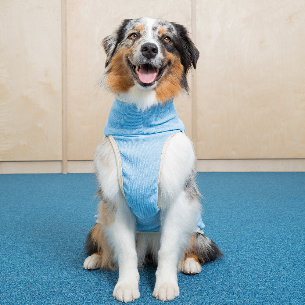 Heat Boost 2 in 1 padding - Pet Winter Jacket