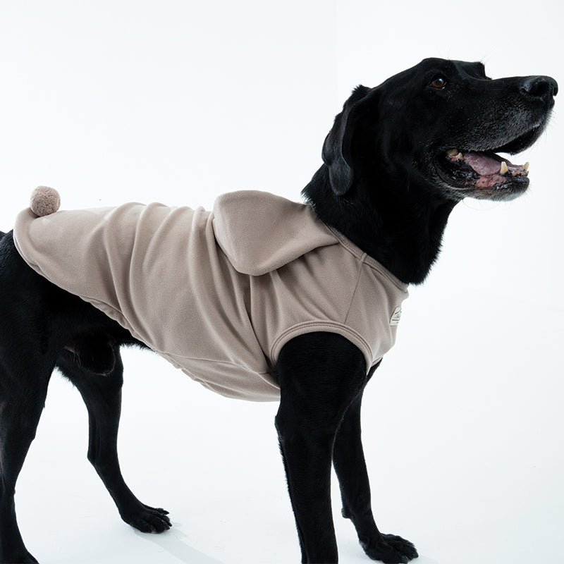 Cozy Bunny Top - Dog Fashion