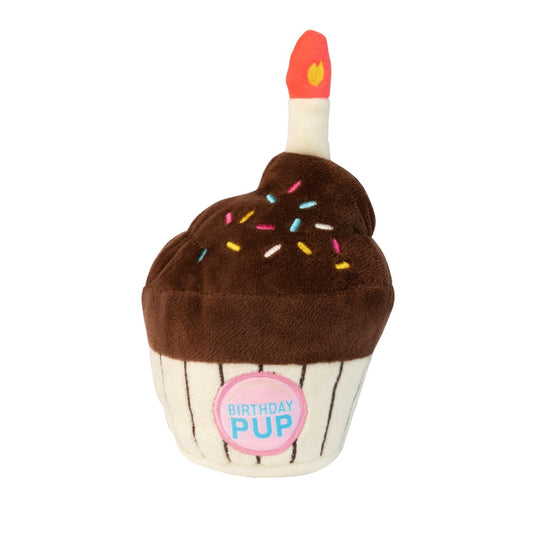 Birthday Cupcake