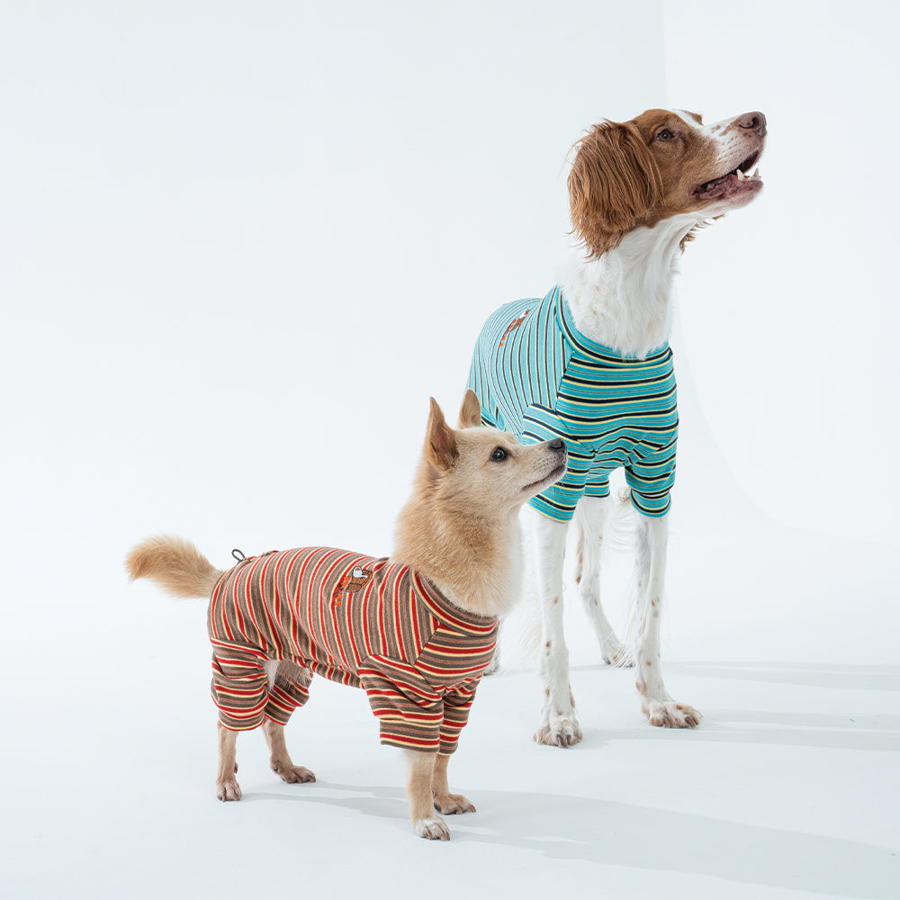 Homeground Stripe All-in-one - Dog Pajama