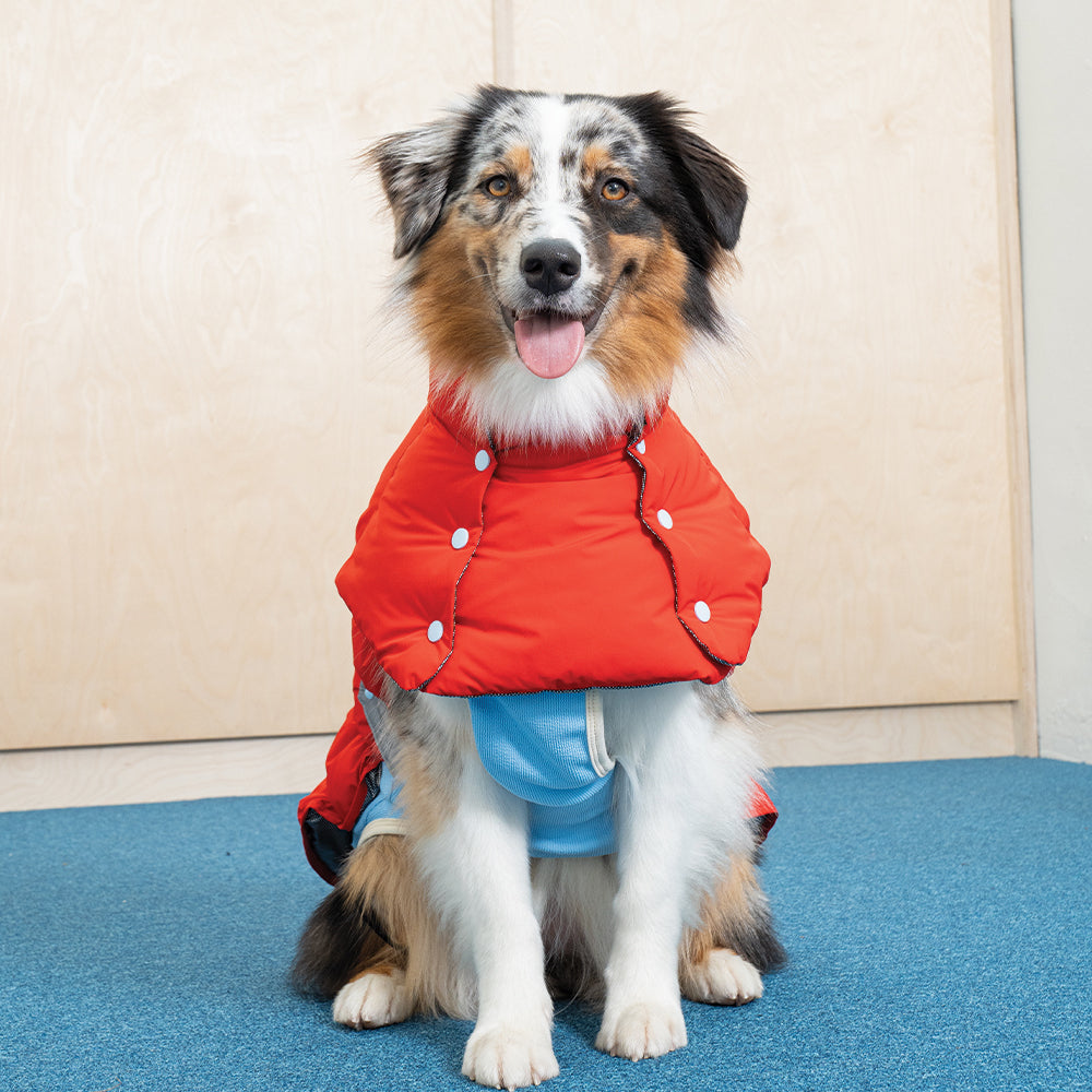 Heat Boost 2 in 1 padding - Pet Winter Jacket