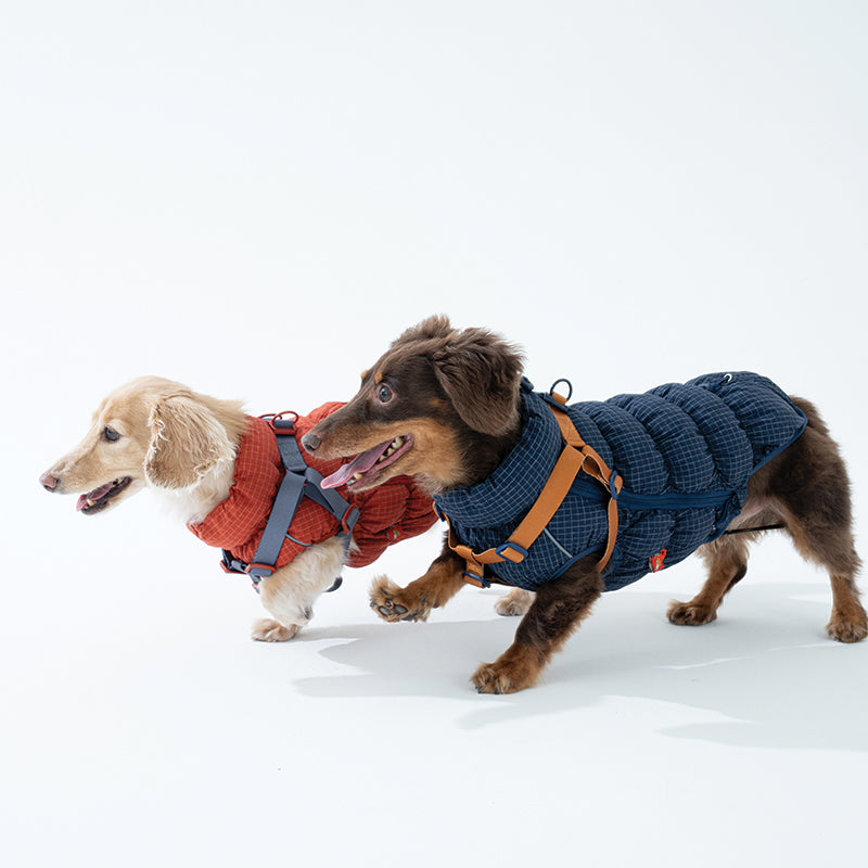 EasyWalk Cloud Padding - Pet Winter Vest with Harness