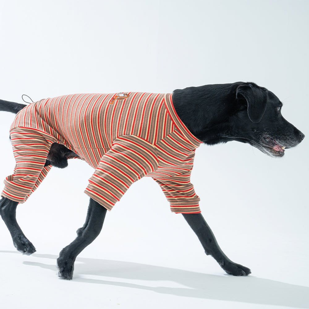 Homeground Stripe All-in-one - Dog Pajama