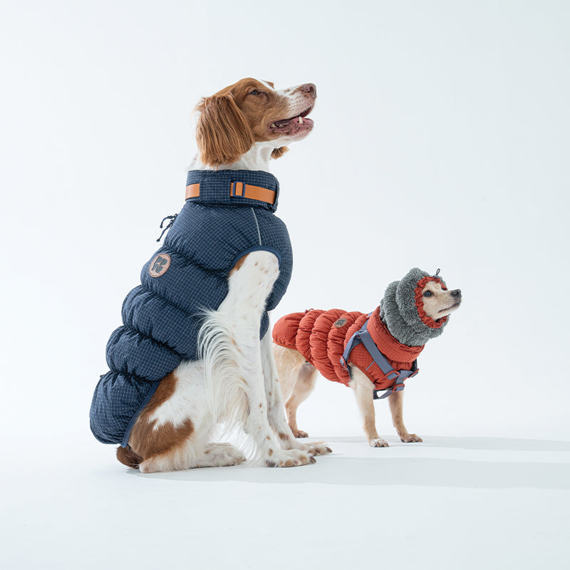 EasyWalk Cloud Padding - Pet Winter Vest with Harness