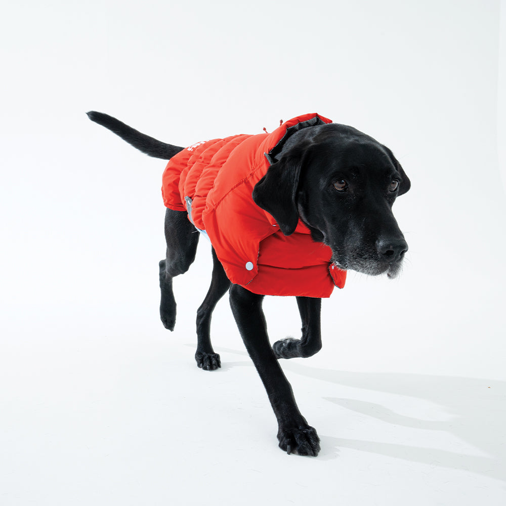 Heat Boost 2 in 1 padding - Pet Winter Jacket