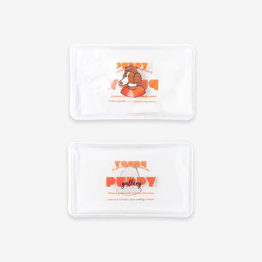 Puppy Gallery Ice Pack