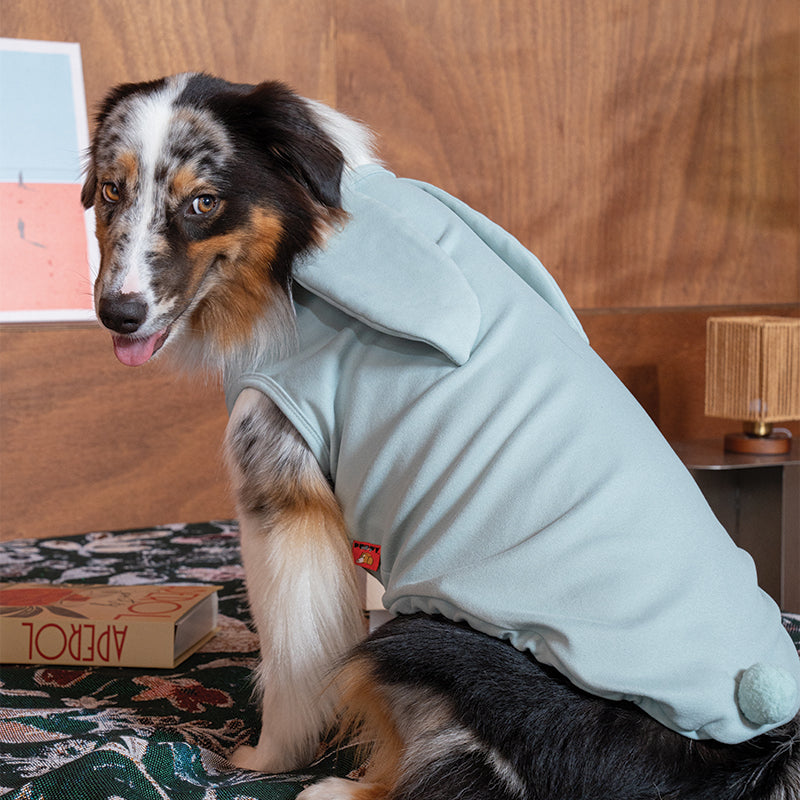 Cozy Bunny Top - Dog Fashion