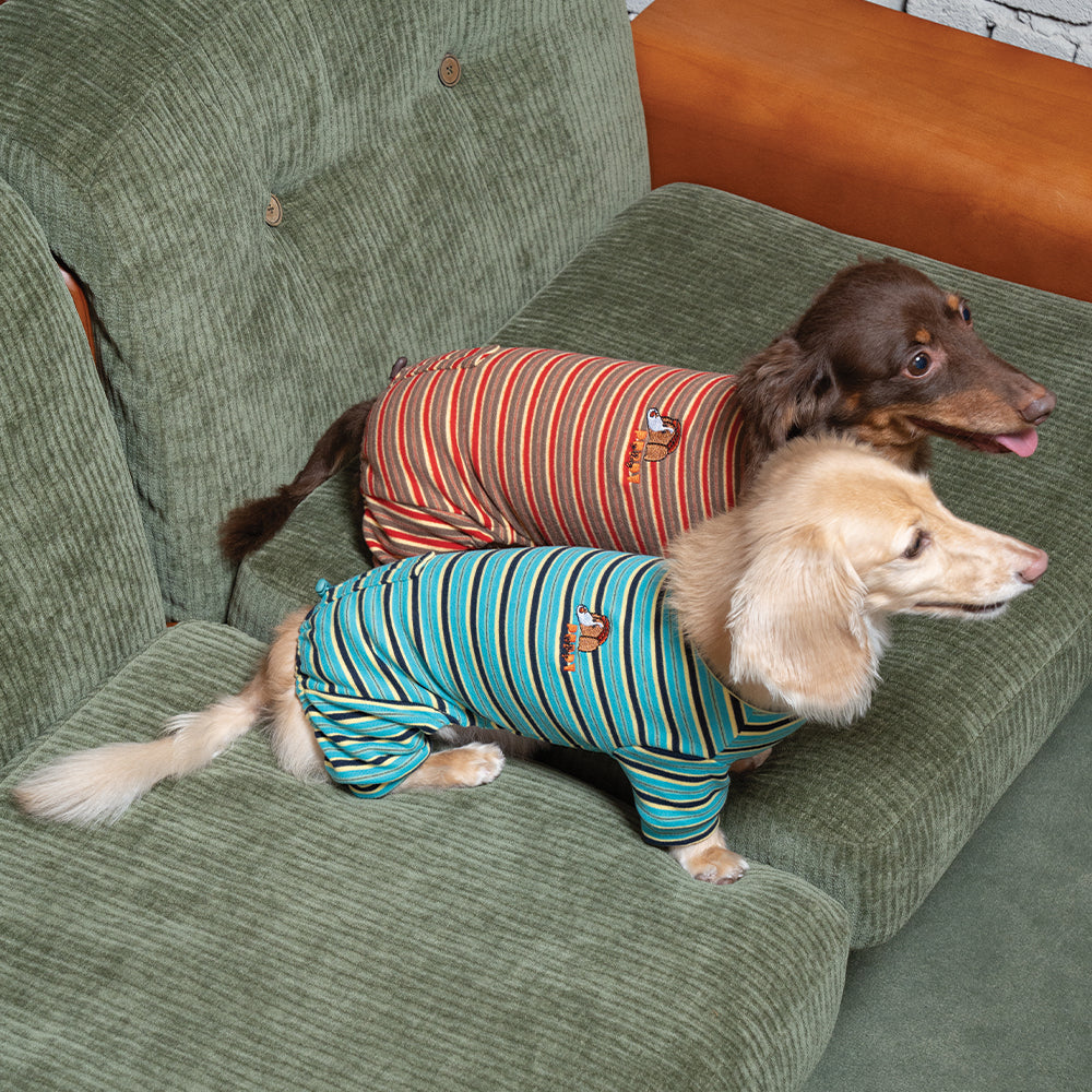 Homeground Stripe All-in-one - Dog Pajama