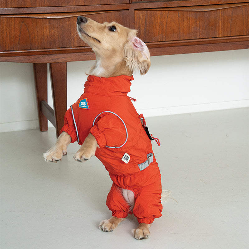 Rush Insulated All-in-one - Pet Outdoor Jacket