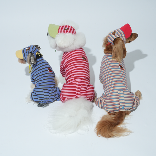 Homeground Stripe All-in-one