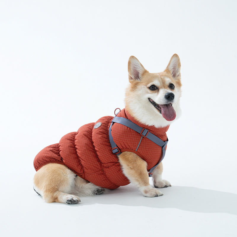 EasyWalk Cloud Padding - Pet Winter Vest with Harness