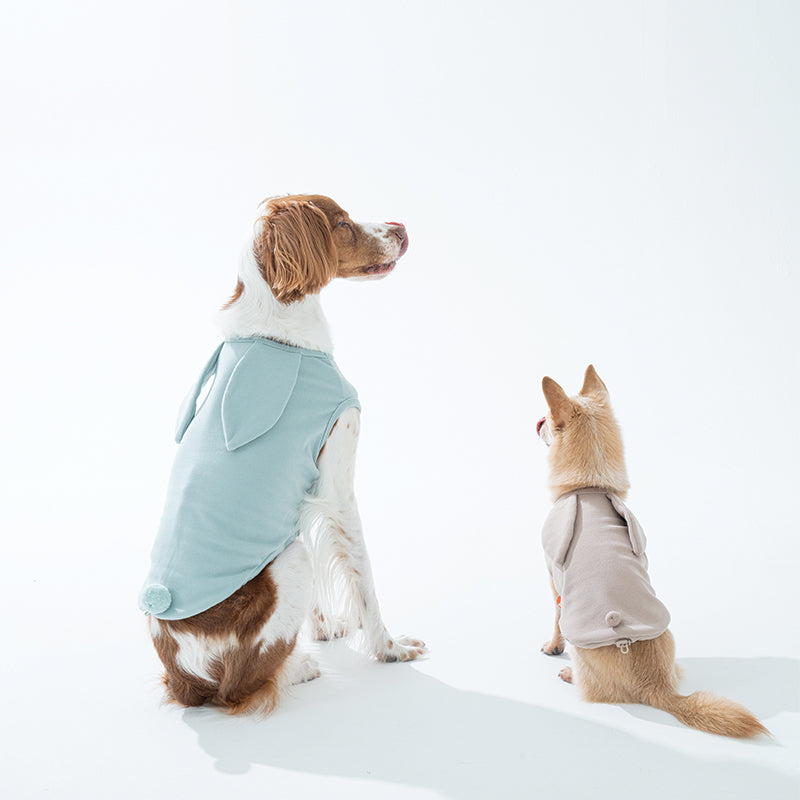 Cozy Bunny Top - Dog Fashion