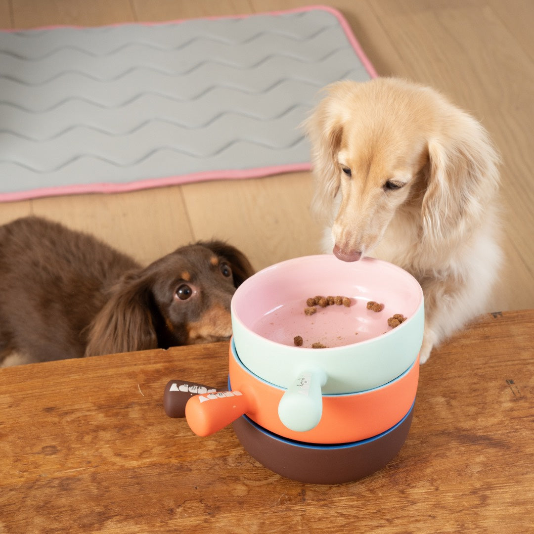 Nordic Color-Block Ceramic Pet Bowl - With stand