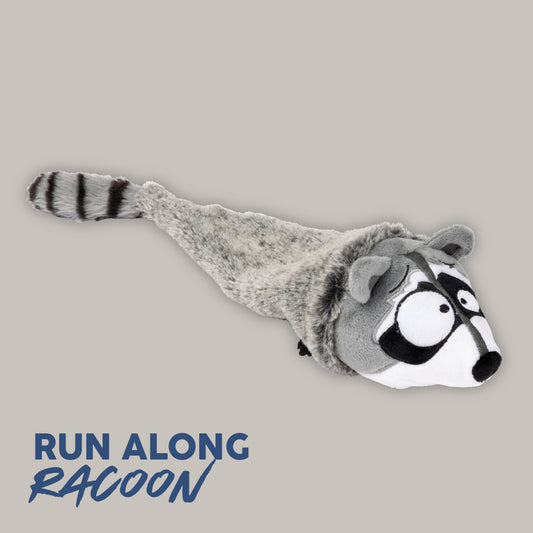 RUN ALONG RACOON