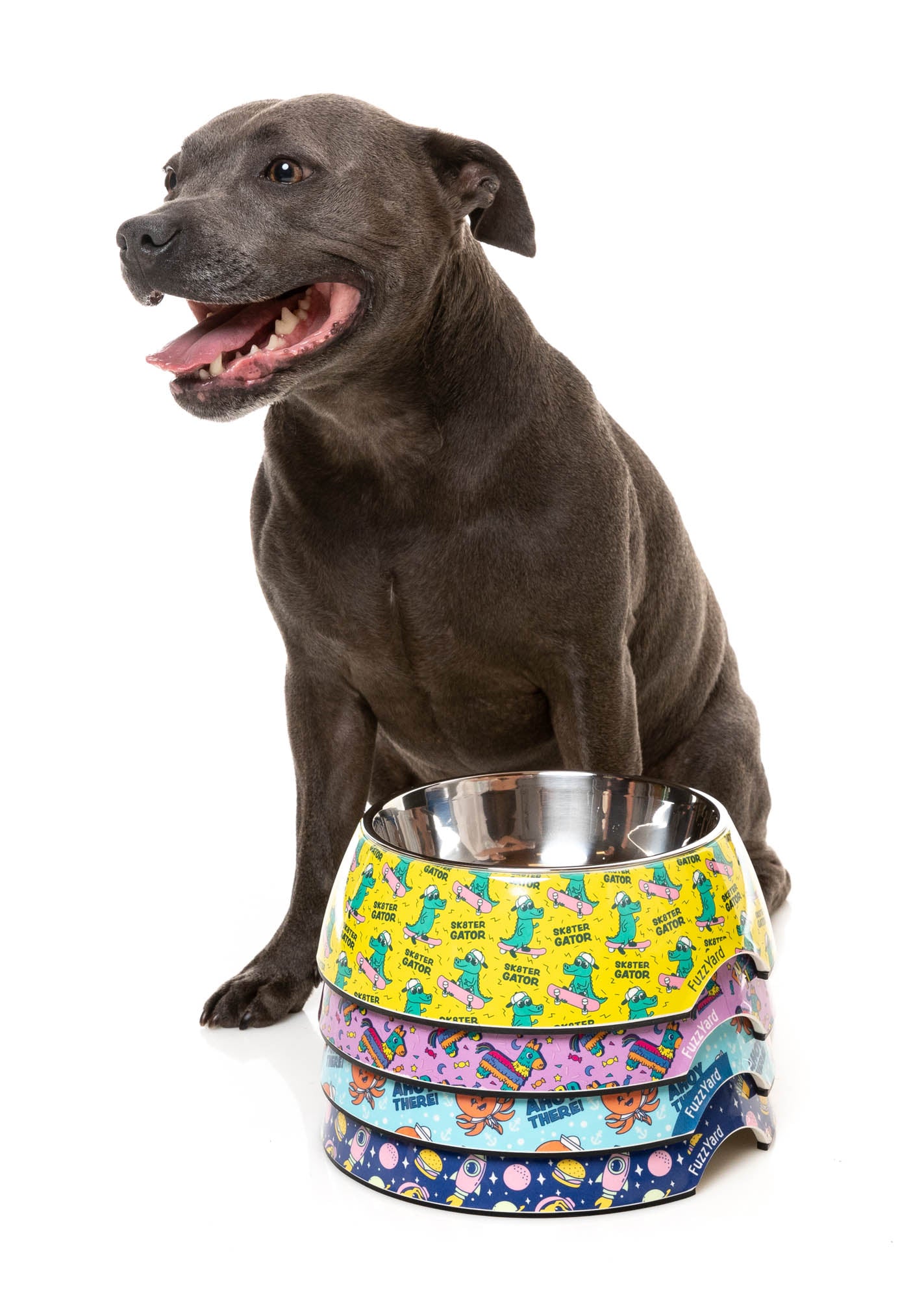 Easy Feeder Bowl