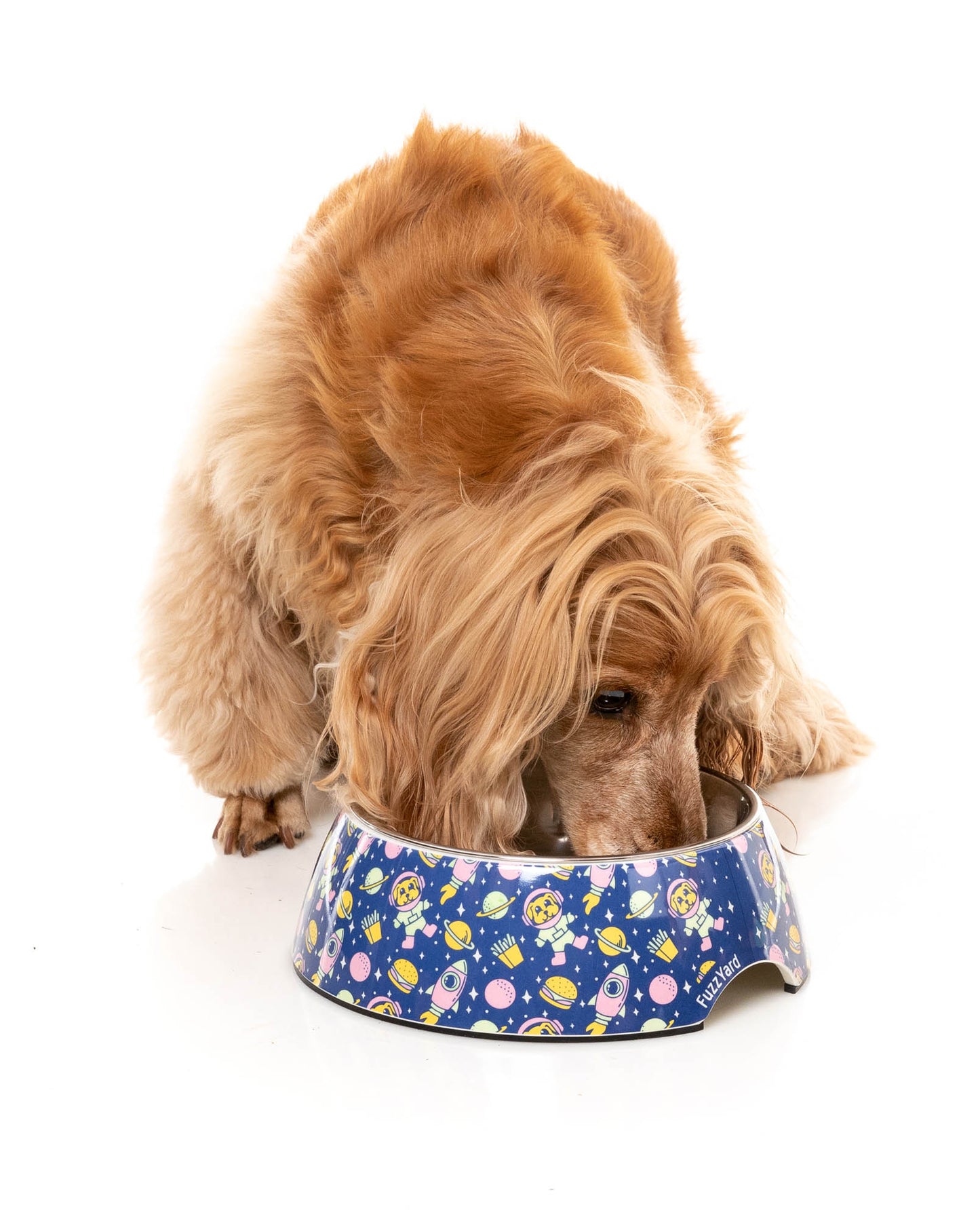 Easy Feeder Bowl