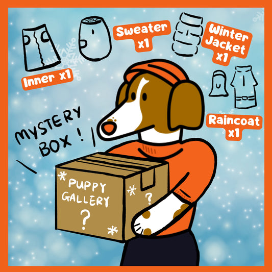 Pet Apparel Blind Box – Fall & Winter 4-Piece Mystery Set