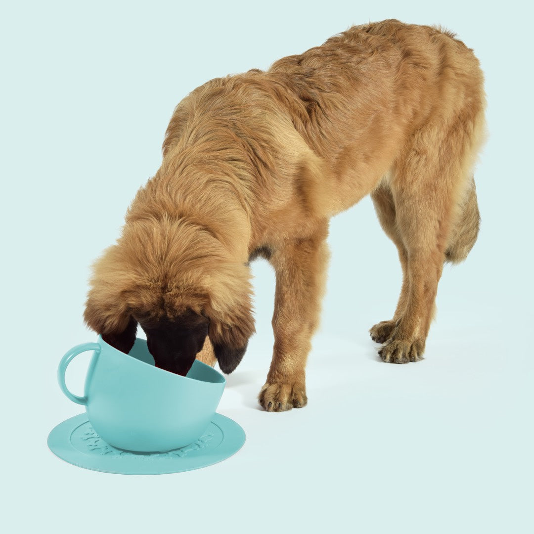 Set CUP - Bowl & Bowl Mat