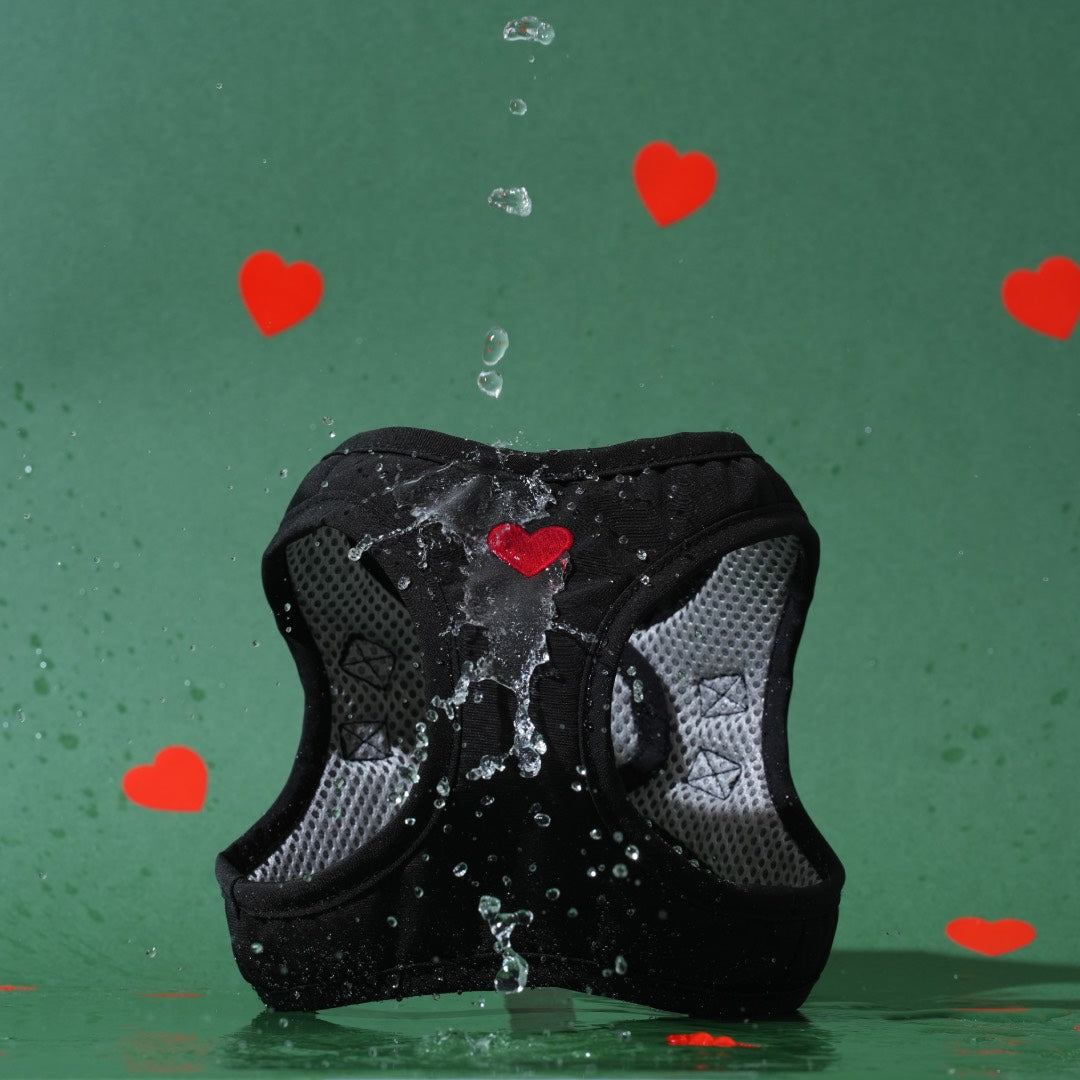 Weatherproof Step-in Harness