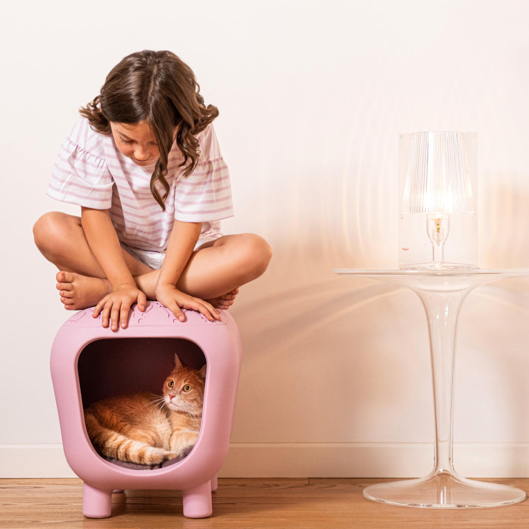 PANCUCCIA - Dog/Cat Bed and Seat