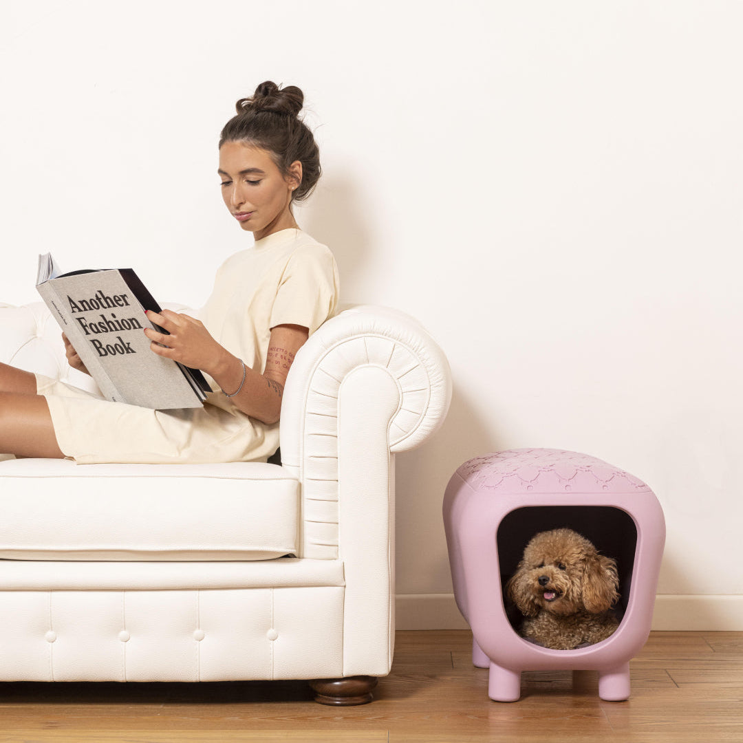 PANCUCCIA - Dog/Cat Bed and Seat