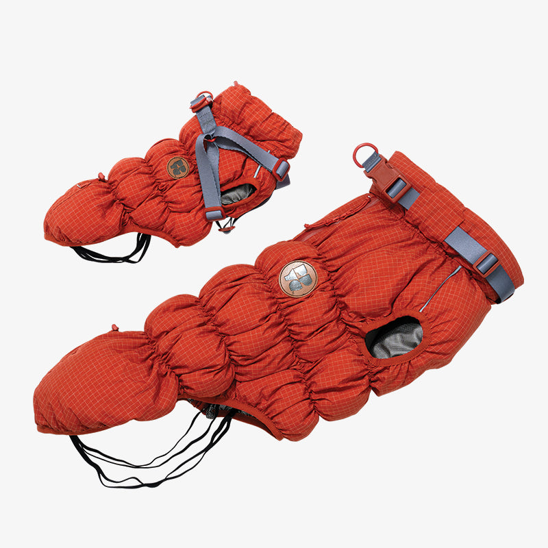EasyWalk Cloud Padding - Pet Winter Vest with Harness