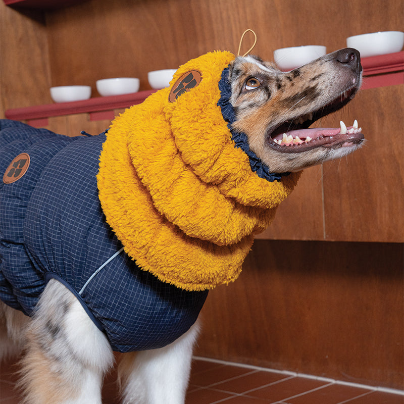 EasyWalk Fleece Snood - Pet Winter Snood