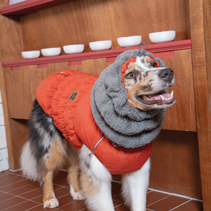 EasyWalk Fleece Snood - Pet Winter Snood
