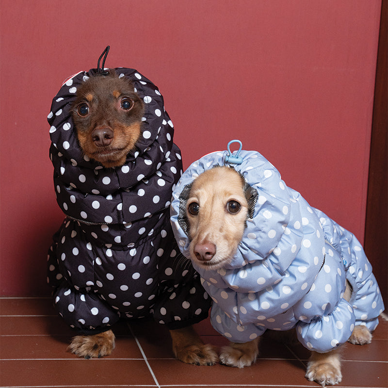 Retro Dot Snood - Pet Winter Snood