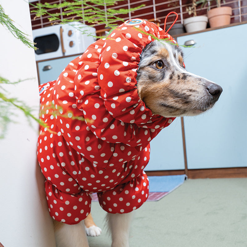Retro Dot Snood - Pet Winter Snood