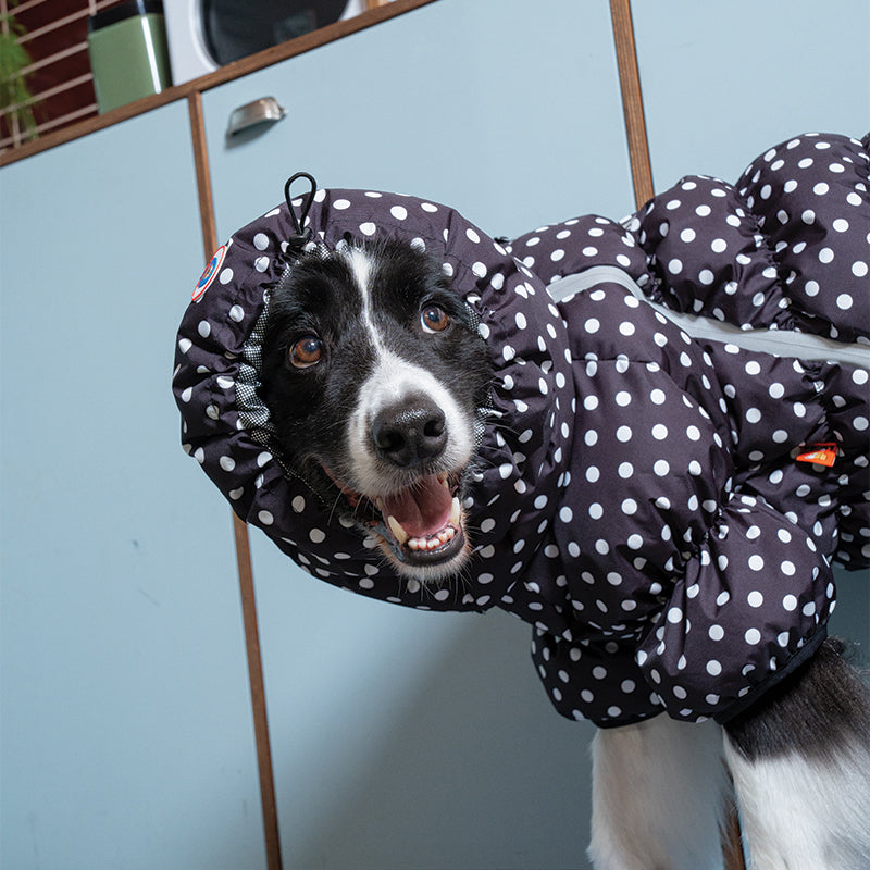 Retro Dot Snood - Pet Winter Snood