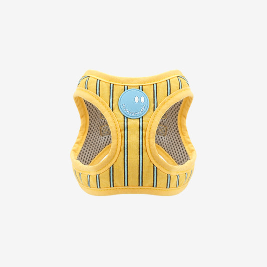 stripe daisy harness in yellow color