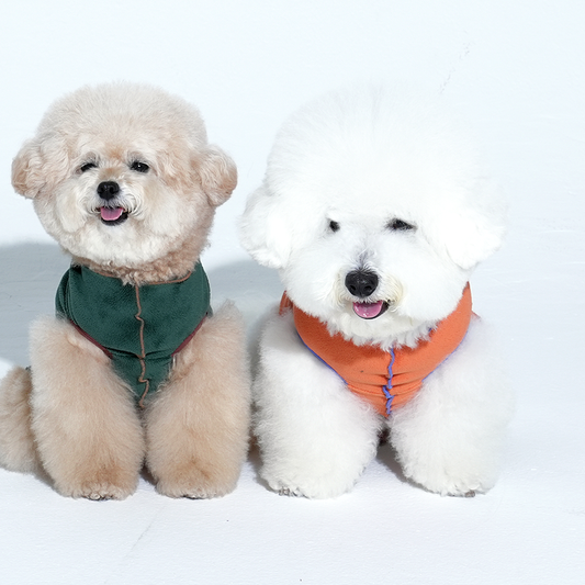 bichon and poodle wearing tracking fleece top in orange and green color